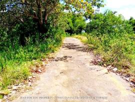 Land for Sale in Trinidad