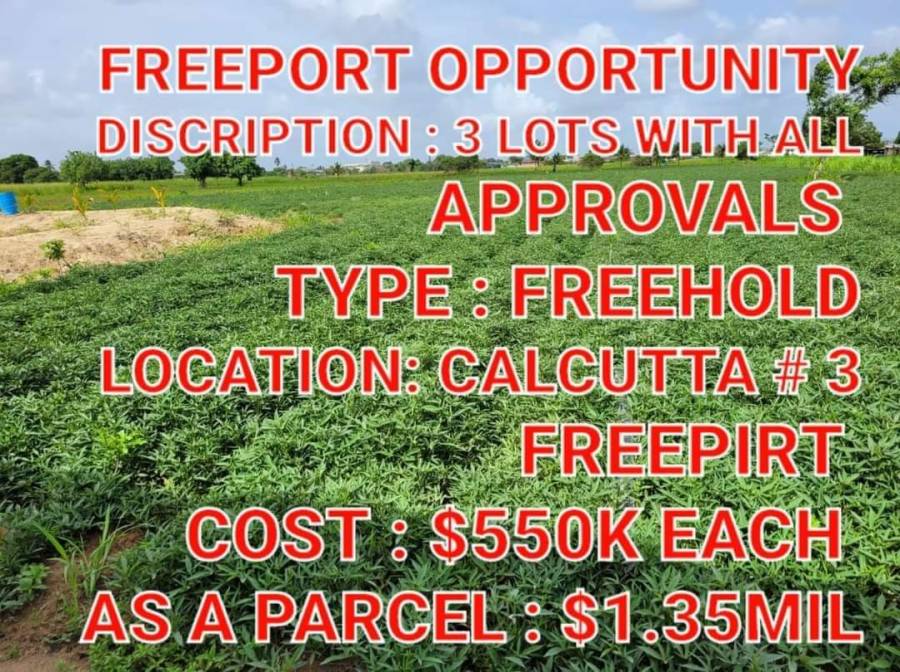 Freeport lots