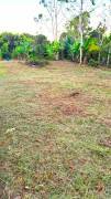 Gran Couva 3 Acre Agricultural Parcel For Sale