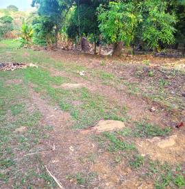 Gran Couva 3 Acre Agricultural Parcel For Sale