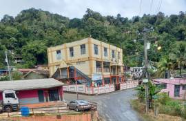 Three-storey Commercial Building, Petit Valley
