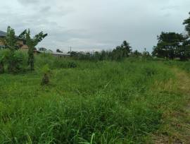 Fully Approved Lots for Sale in Debe