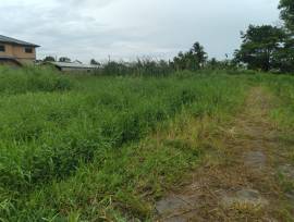 Fully Approved Lots for Sale in Debe